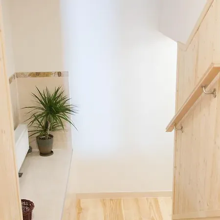 Szarotka * 布库维纳塔然斯卡